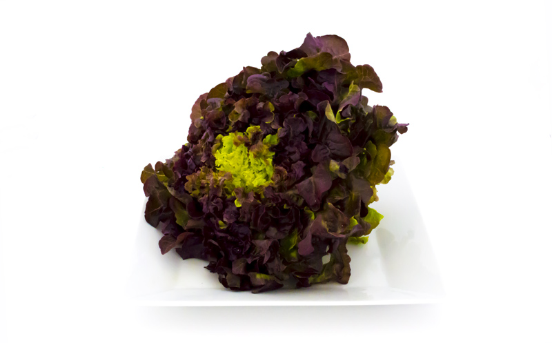 Frutería lechuga Llíria fruteria lechuga lliria